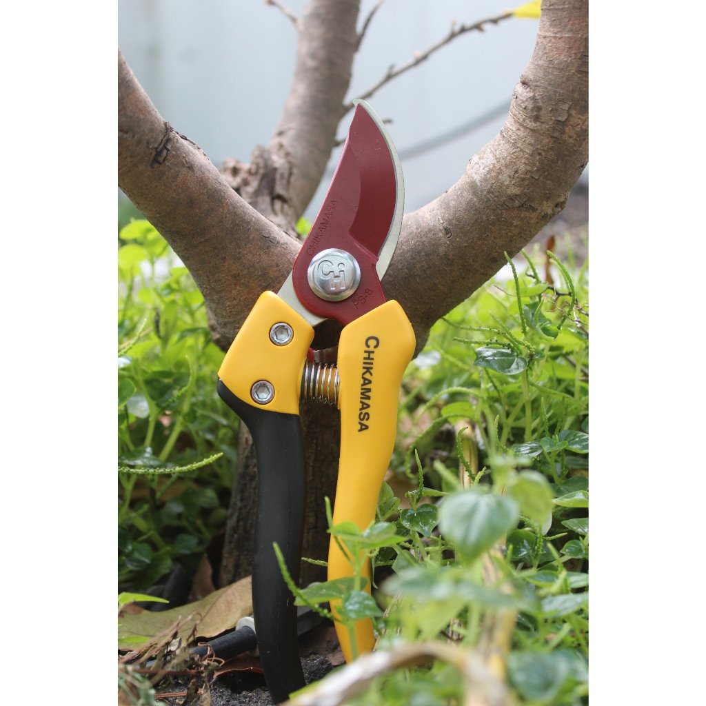Kéo cắt cành Nhật Bản Chikamasa PS-8Y