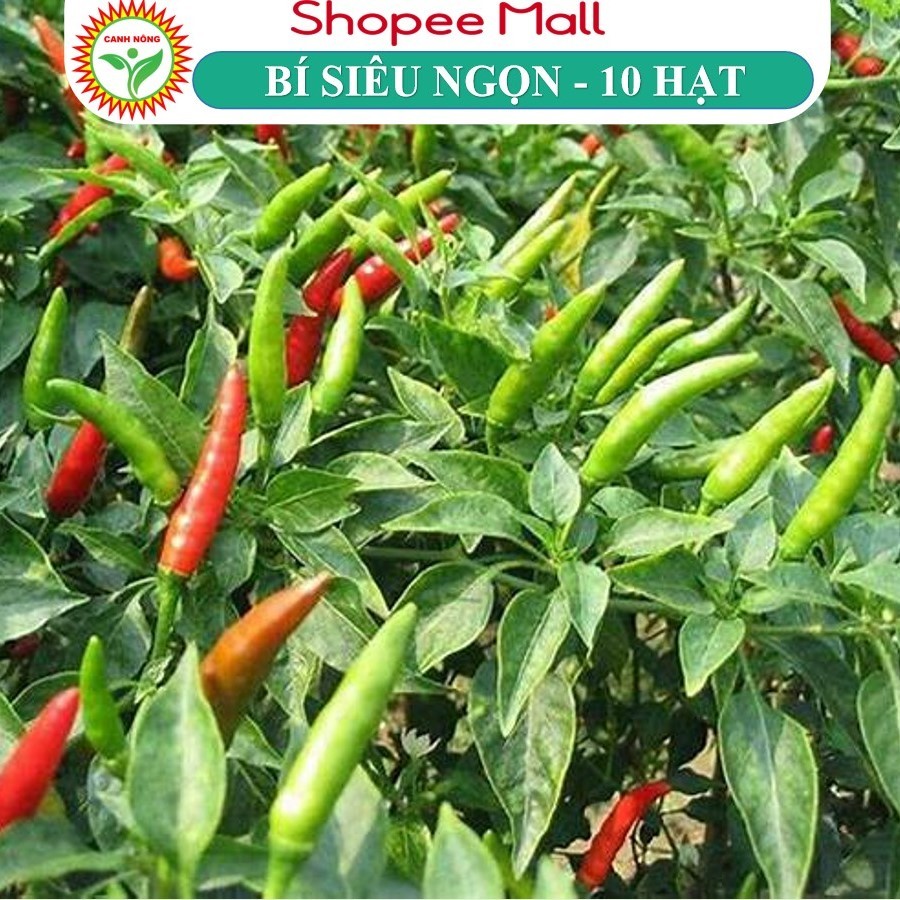Hạt giống Ớt Chỉ Thiên Siêu Cay (0,5g~0 hạt) siêu cay, trồng quanh năm, dễ chăm sóc - Hạt giống CANH NÔNG