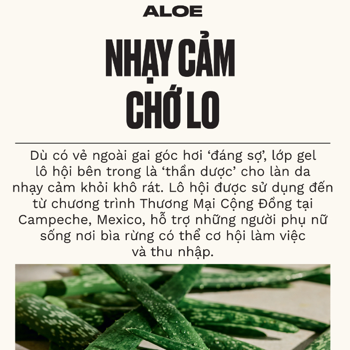 Ảnh Lăn Khử Mùi Aloe Caring Roll on Deodorant 50ml The Body Shop 1