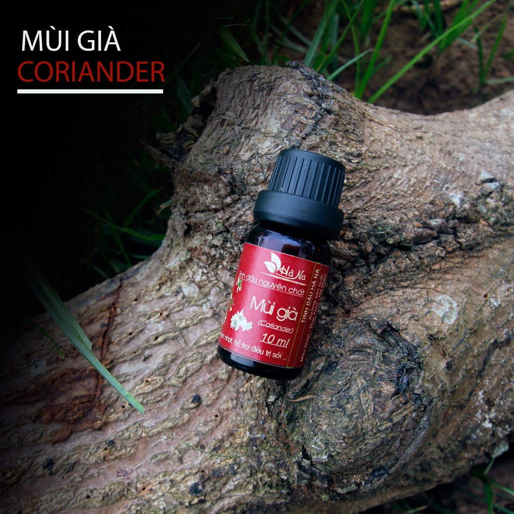 👉 Tinh Dầu Mùi Già Nguyên Chất – Xông Nhà, Khử Mùi, Thư Giãn, Giảm Stress, Dưỡng Da, Hỗ Trợ Giấc Ngủ