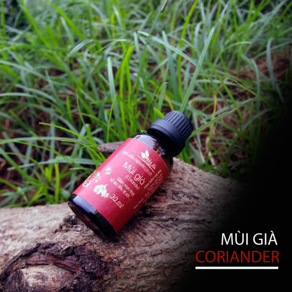 👉 Tinh Dầu Mùi Già Nguyên Chất – Xông Nhà, Khử Mùi, Thư Giãn, Giảm Stress, Dưỡng Da, Hỗ Trợ Giấc Ngủ