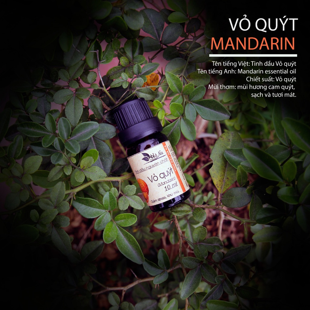 Tinh Dầu Vỏ Quýt - Tinh Dầu Hà Na - Khử mùi, xông phòng, ô tô thơm mát, thư giãn