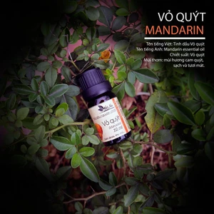 Tinh Dầu Vỏ Quýt - Tinh Dầu Hà Na - Khử mùi, xông phòng, ô tô thơm mát, thư giãn