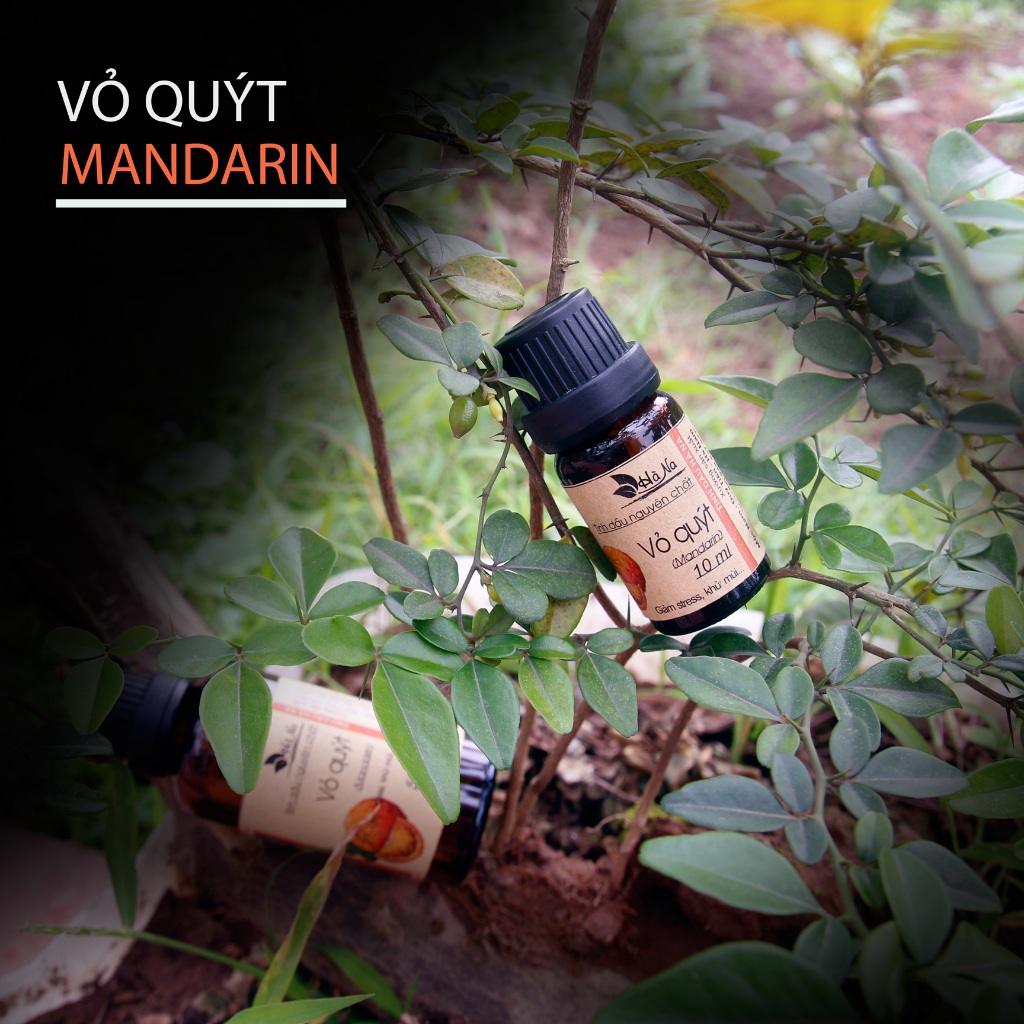 Tinh Dầu Vỏ Quýt - Tinh Dầu Hà Na - Khử mùi, xông phòng, ô tô thơm mát, thư giãn