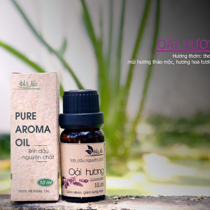 Tinh dầu oải hương Lavender 10ml – Hỗ trợ giấc ngủ, giảm căng thẳng, tạo không gian thư thái