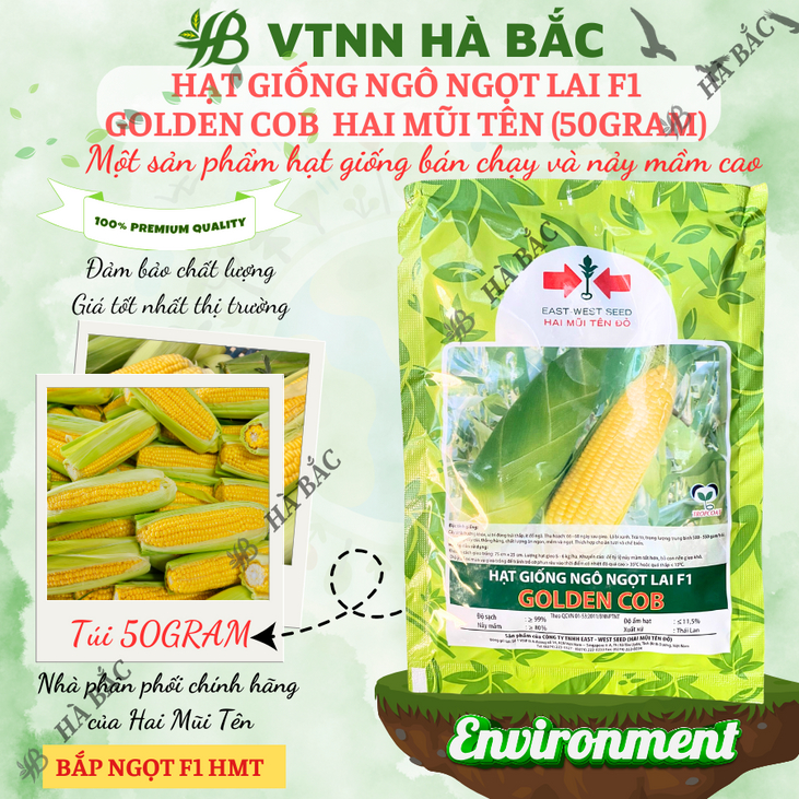 Hạt Giống Ngô Ngọt Lai F1  Golden Cob  Hai Mũi Tên (50gram), Hạt Giống Nảy Mầm Tốt, Năng Suất Cao, Trông Quanh Năm