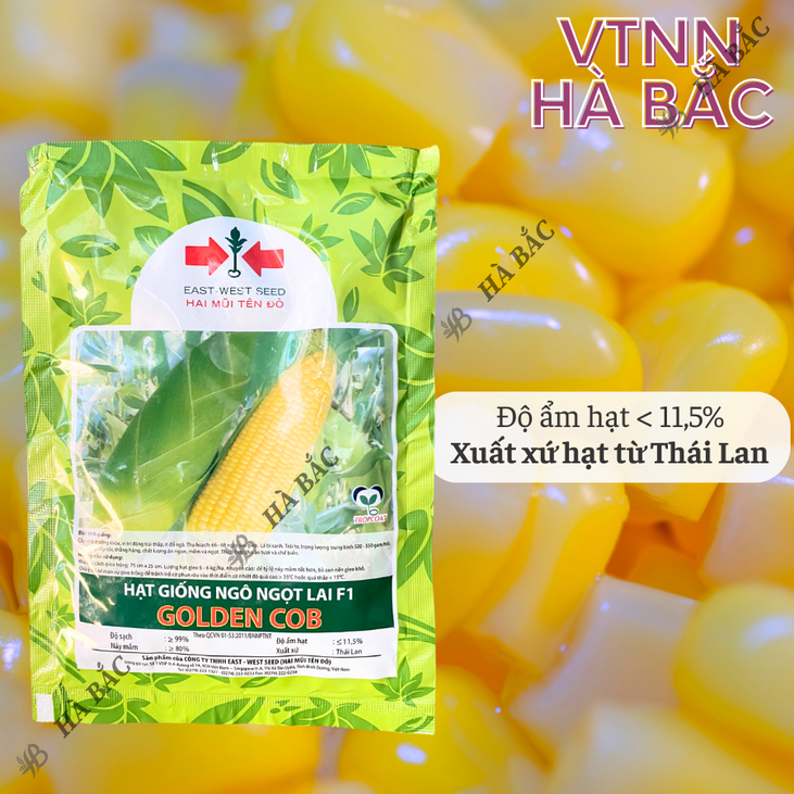 Hạt Giống Ngô Ngọt Lai F1  Golden Cob  Hai Mũi Tên (50gram), Hạt Giống Nảy Mầm Tốt, Năng Suất Cao, Trông Quanh Năm