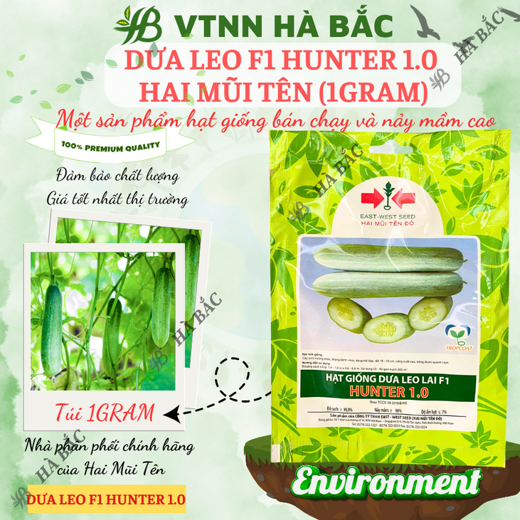 Dưa Leo F1 Hunter 1.0  Hai Mũi Tên (20 hạt/10gram), Hạt Giống Nảy Mầm Tốt, Năng Suất Cao, Trông Quanh Năm