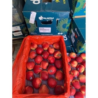 ( JENNY FRUIT ) Táo DAZZLE newzealand dòn ngọt 1kg