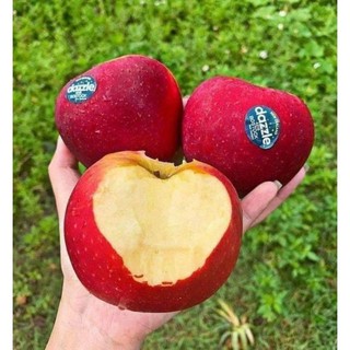 ( JENNY FRUIT ) Táo DAZZLE newzealand dòn ngọt 1kg