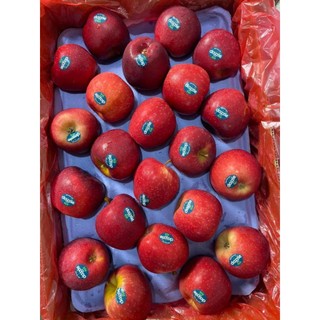 ( JENNY FRUIT ) Táo DAZZLE newzealand dòn ngọt 1kg