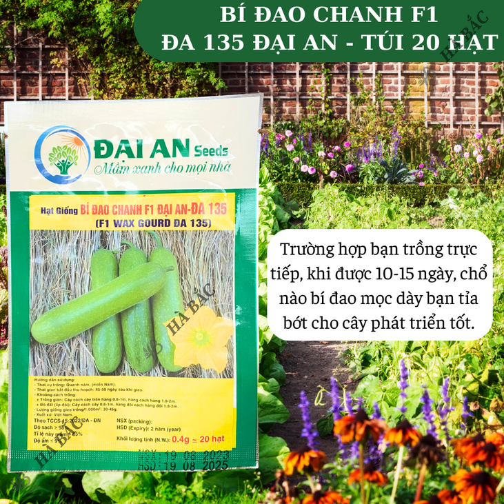 Hạt Giống Bí Đao ĐA 135 Đại An - Túi 0.4gram, Hạt Giống Nảy Mầm Tốt, Năng Suất Cao, Trông Quanh Năm