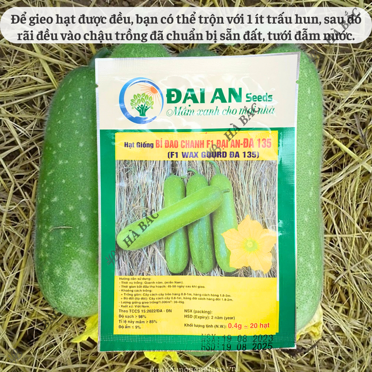 Hạt Giống Bí Đao ĐA 135 Đại An - Túi 0.4gram, Hạt Giống Nảy Mầm Tốt, Năng Suất Cao, Trông Quanh Năm
