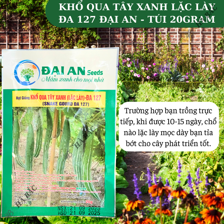 Khổ Qua Tây Xanh Lặc Lày ĐA 127 Đại An - Túi 20gram, Hạt Giống Nảy Mầm Tốt, Năng Suất Cao, Trông Quanh Năm