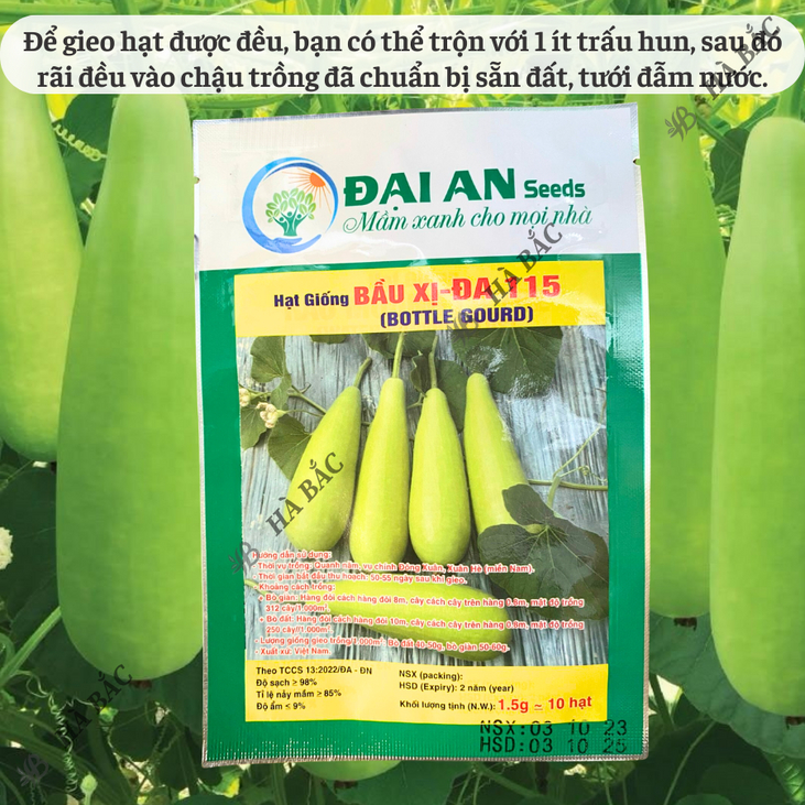 Hạt Giống Bầu Xị Đa 115 Đại An - 1.5 Gram, Hạt Giống Nảy Mầm Tốt, Năng Suất Cao, Trông Quanh Năm