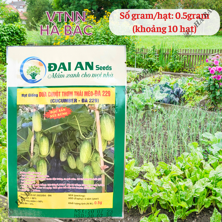 Dưa Chuột Thơm Thái Mèo Đa 229 Đại An - Túi 0.5gram, Hạt Giống Nảy Mầm Tốt, Năng Suất Cao, Trông Quanh Năm