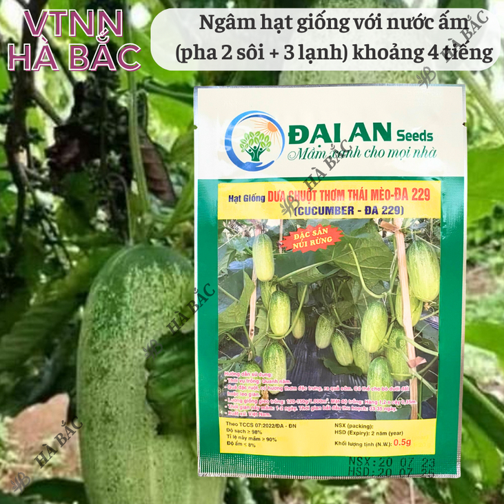 Dưa Chuột Thơm Thái Mèo Đa 229 Đại An - Túi 0.5gram, Hạt Giống Nảy Mầm Tốt, Năng Suất Cao, Trông Quanh Năm