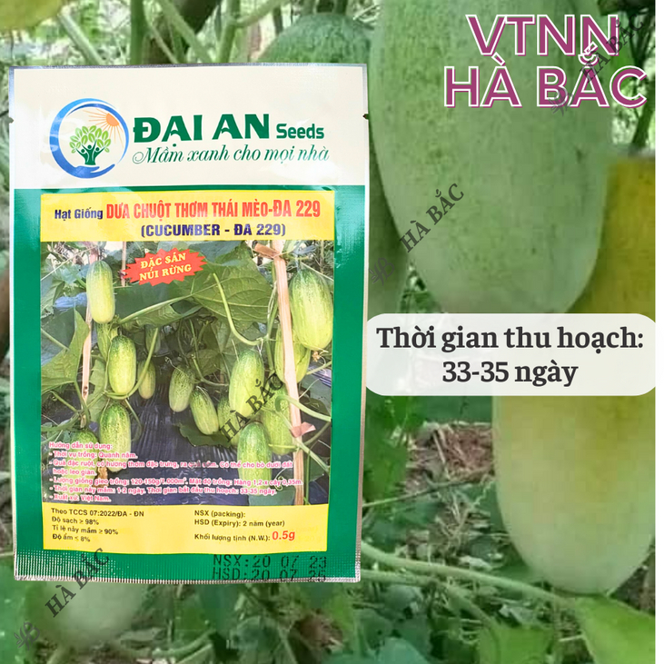 Dưa Chuột Thơm Thái Mèo Đa 229 Đại An - Túi 0.5gram, Hạt Giống Nảy Mầm Tốt, Năng Suất Cao, Trông Quanh Năm