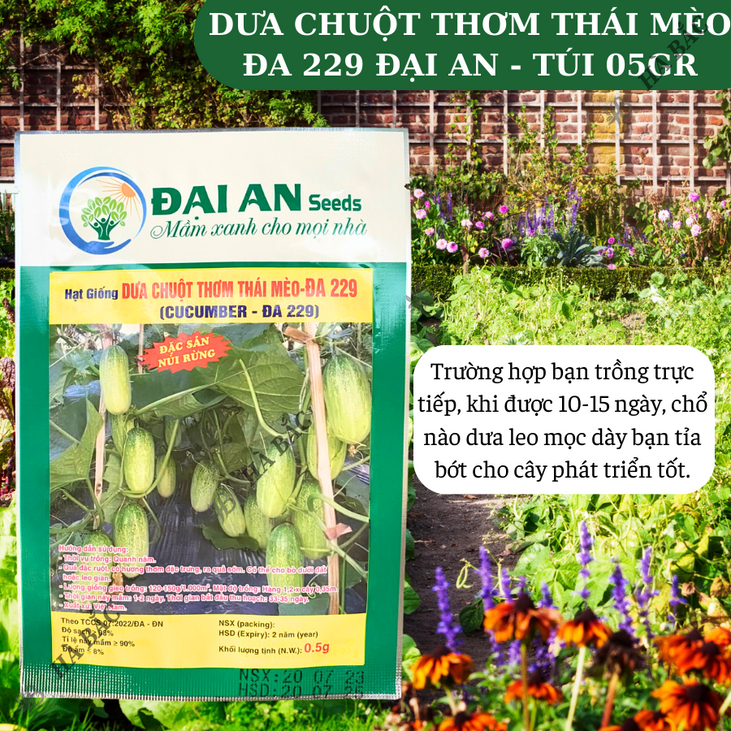 Dưa Chuột Thơm Thái Mèo Đa 229 Đại An - Túi 0.5gram, Hạt Giống Nảy Mầm Tốt, Năng Suất Cao, Trông Quanh Năm