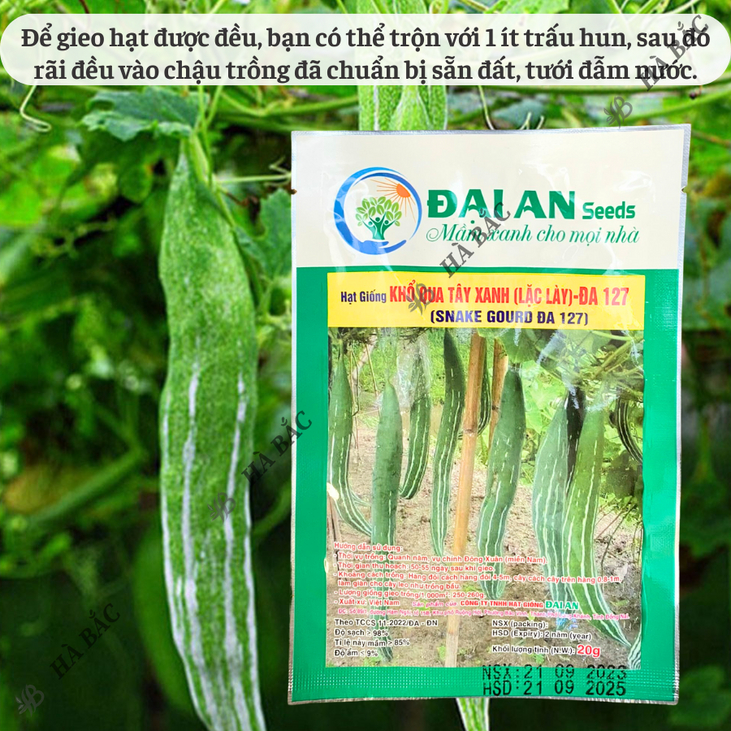 Khổ Qua Tây Xanh Lặc Lày ĐA 127 Đại An - Túi 20gram, Hạt Giống Nảy Mầm Tốt, Năng Suất Cao, Trông Quanh Năm