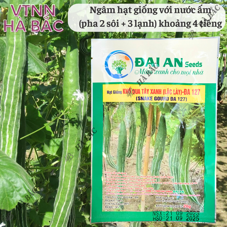 Khổ Qua Tây Xanh Lặc Lày ĐA 127 Đại An - Túi 20gram, Hạt Giống Nảy Mầm Tốt, Năng Suất Cao, Trông Quanh Năm
