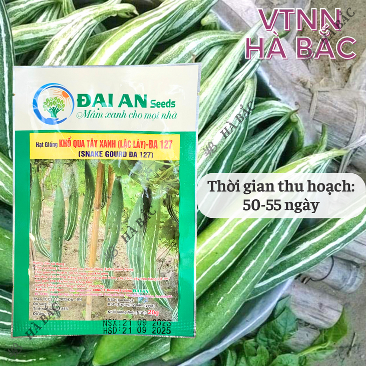 Khổ Qua Tây Xanh Lặc Lày ĐA 127 Đại An - Túi 20gram, Hạt Giống Nảy Mầm Tốt, Năng Suất Cao, Trông Quanh Năm