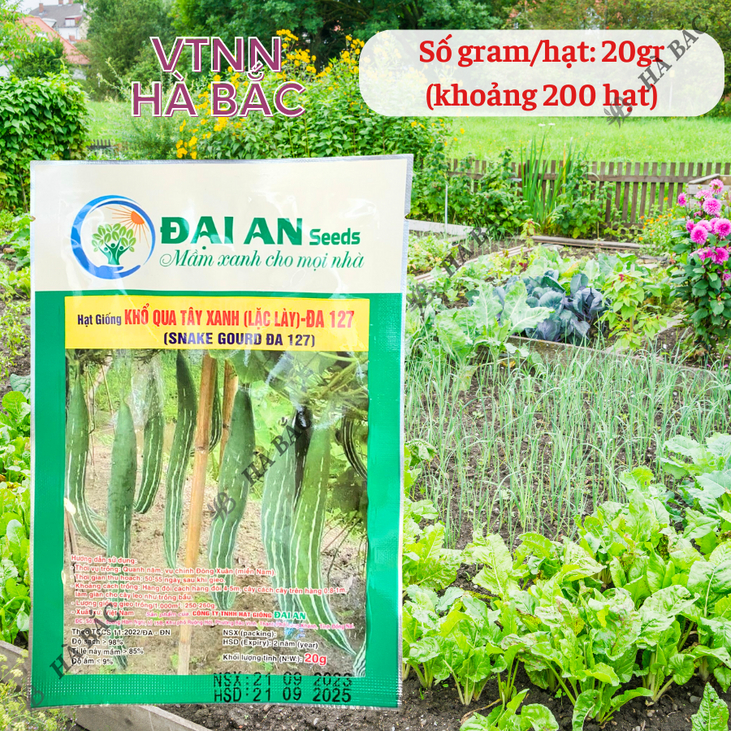 Khổ Qua Tây Xanh Lặc Lày ĐA 127 Đại An - Túi 20gram, Hạt Giống Nảy Mầm Tốt, Năng Suất Cao, Trông Quanh Năm