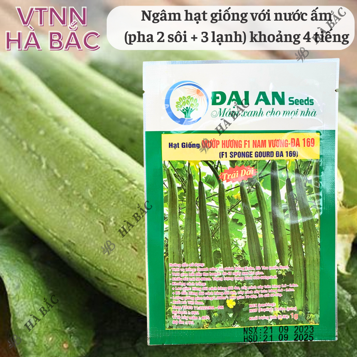 Mướp Hương F1 Nam Vương Đa 169 Đại An - 1gram, Hạt Giống Nảy Mầm Tốt, Năng Suất Cao, Trông Quanh Năm