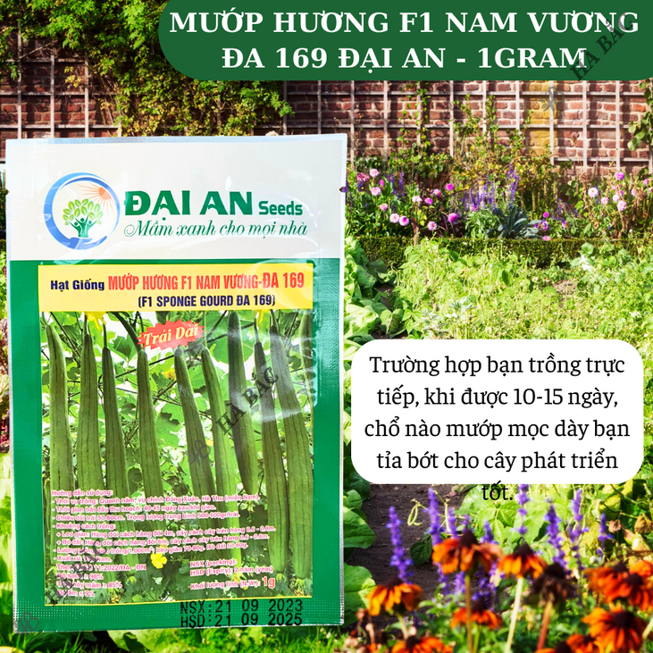 Mướp Hương F1 Nam Vương Đa 169 Đại An - 1gram, Hạt Giống Nảy Mầm Tốt, Năng Suất Cao, Trông Quanh Năm
