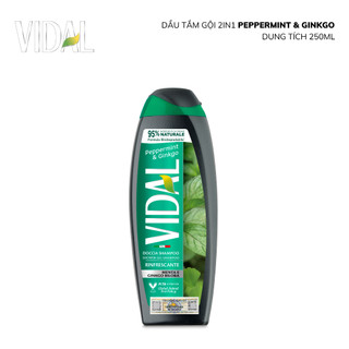 Sữa tắm gội 2 trong 1 Vidal 250ml thành phần tự nhiên dành cho cả gia đình