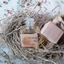 Tinh Dầu Treo Xe Vetiver - TINH DẦU HÀ NA - Khử mùi ẩm mốc, mùi xe mới.