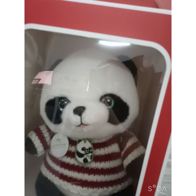 Hộp quà gấu bông đáng yêu
