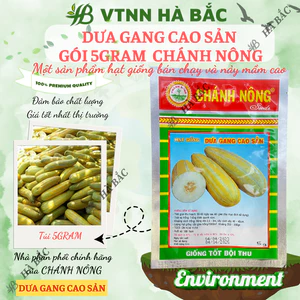 Dưa Gang Cao Sản Gói 5gram Chánh Nông, Hạt Giống Nảy Mầm Tốt, Năng Suất Cao, Trông Quanh Năm