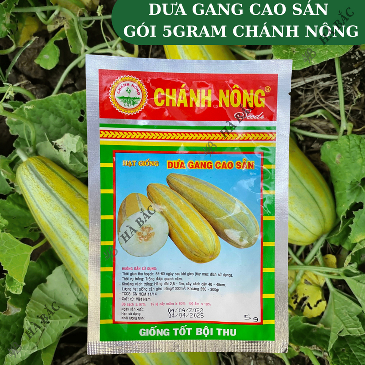 Dưa Gang Cao Sản Gói 5gram Chánh Nông, Hạt Giống Nảy Mầm Tốt, Năng Suất Cao, Trông Quanh Năm
