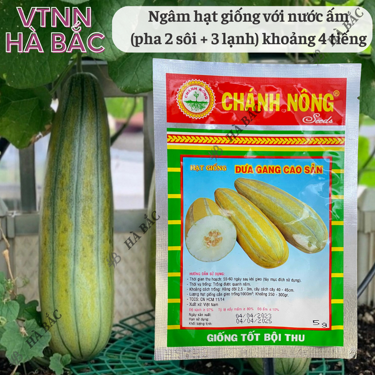 Dưa Gang Cao Sản Gói 5gram Chánh Nông, Hạt Giống Nảy Mầm Tốt, Năng Suất Cao, Trông Quanh Năm