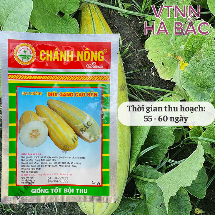 Dưa Gang Cao Sản Gói 5gram Chánh Nông, Hạt Giống Nảy Mầm Tốt, Năng Suất Cao, Trông Quanh Năm