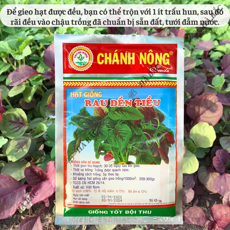 Rau Dền Tiều Tía (50gram) Chánh Nông, Hạt Giống Nảy Mầm Tốt, Năng Suất Cao, Trông Quanh Năm