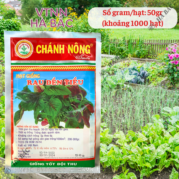 Rau Dền Tiều Tía (50gram) Chánh Nông, Hạt Giống Nảy Mầm Tốt, Năng Suất Cao, Trông Quanh Năm