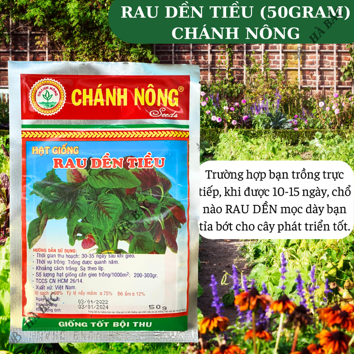Rau Dền Tiều Tía (50gram) Chánh Nông, Hạt Giống Nảy Mầm Tốt, Năng Suất Cao, Trông Quanh Năm