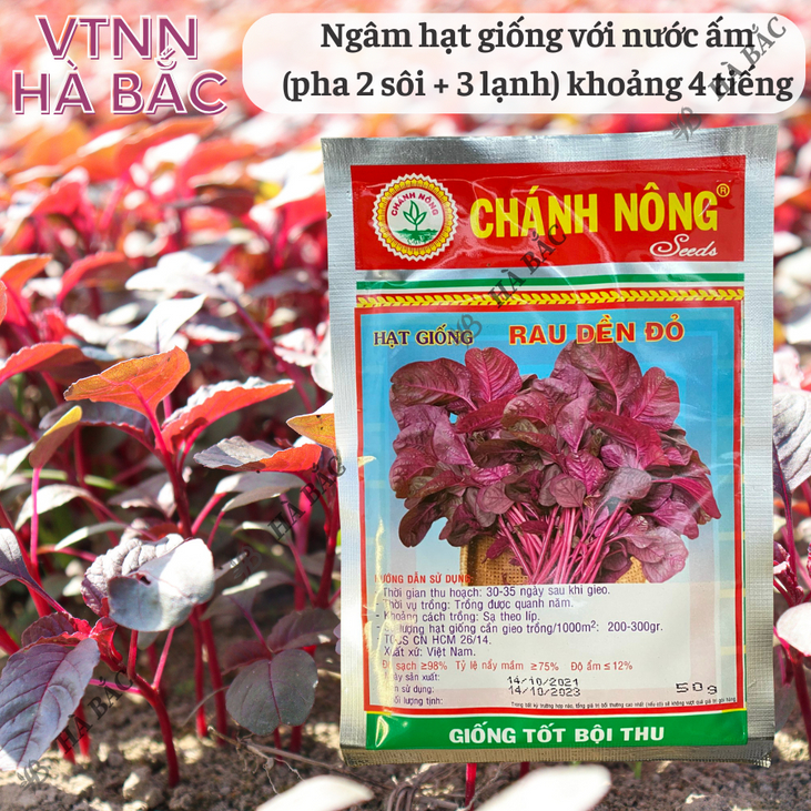 Hạt Giống Rau Dền Đỏ Chánh Nông (50gram), Hạt Giống Nảy Mầm Tốt, Năng Suất Cao, Trông Quanh Năm