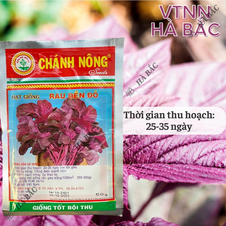 Hạt Giống Rau Dền Đỏ Chánh Nông (50gram), Hạt Giống Nảy Mầm Tốt, Năng Suất Cao, Trông Quanh Năm