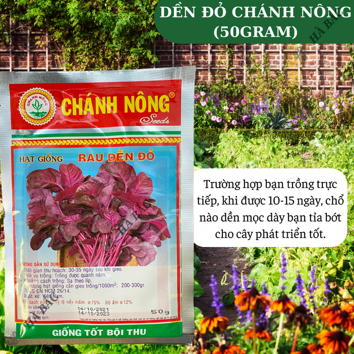 Hạt Giống Rau Dền Đỏ Chánh Nông (50gram), Hạt Giống Nảy Mầm Tốt, Năng Suất Cao, Trông Quanh Năm