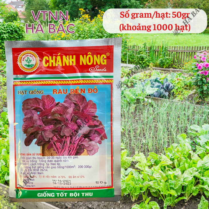 Hạt Giống Rau Dền Đỏ Chánh Nông (50gram), Hạt Giống Nảy Mầm Tốt, Năng Suất Cao, Trông Quanh Năm