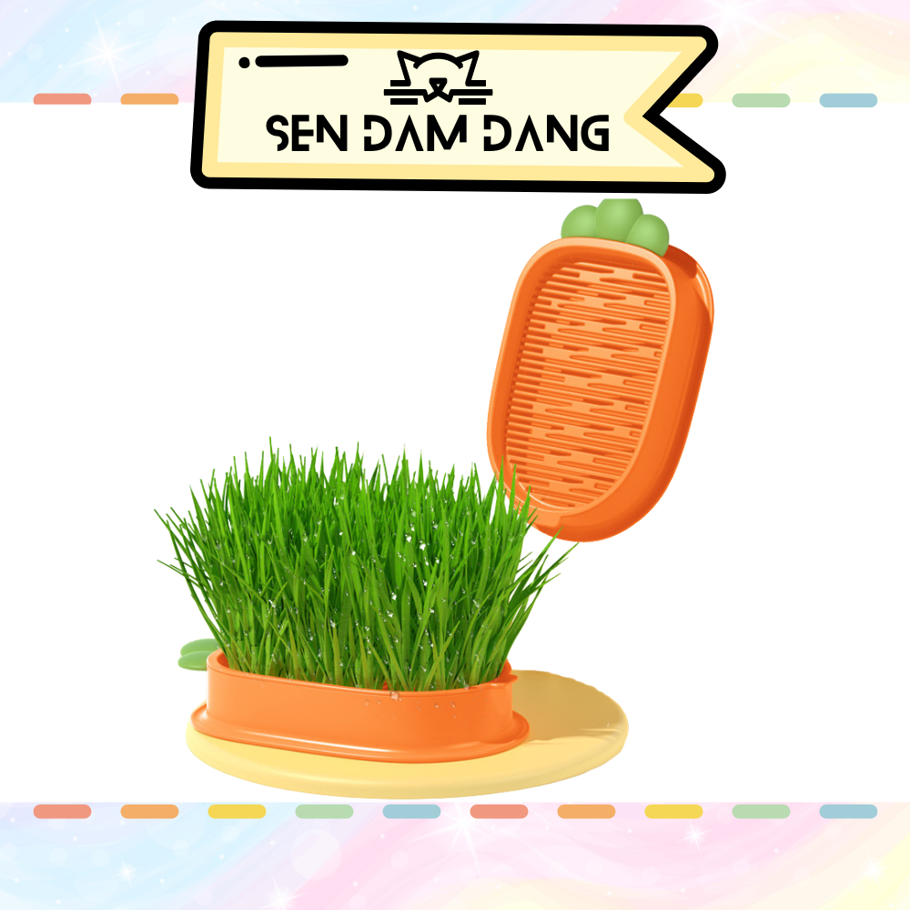 Bộ Trồng Cỏ Mèo Thủy Canh Tiêu Hóa Búi Lông Cho Mèo