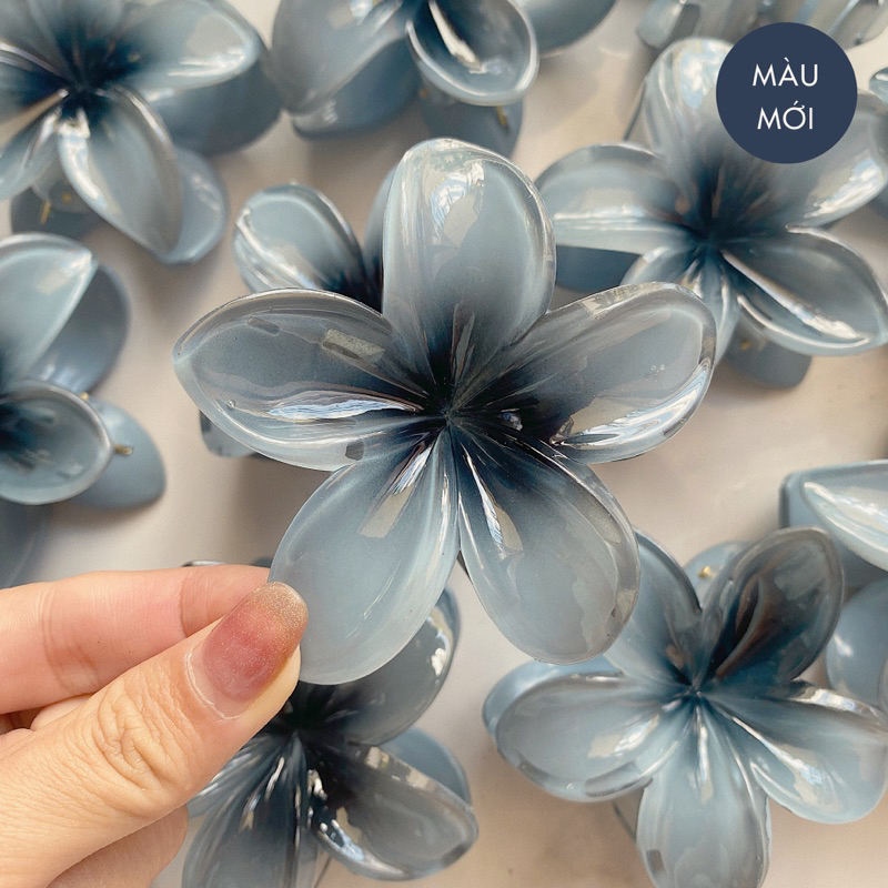 Sứ đen xám (mới)