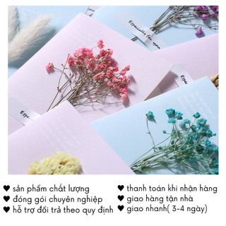 Thiệp Hoa Khô Vintage Giấy Chúc Mừng Sinh Nhật Xinh Timo GQ33