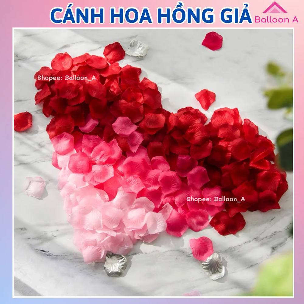 Set 100,300 cánh hoa hồng giả bằng vải rải sàn trang trí tiệc cưới tỏ tình cầu hôn sinh nhật
