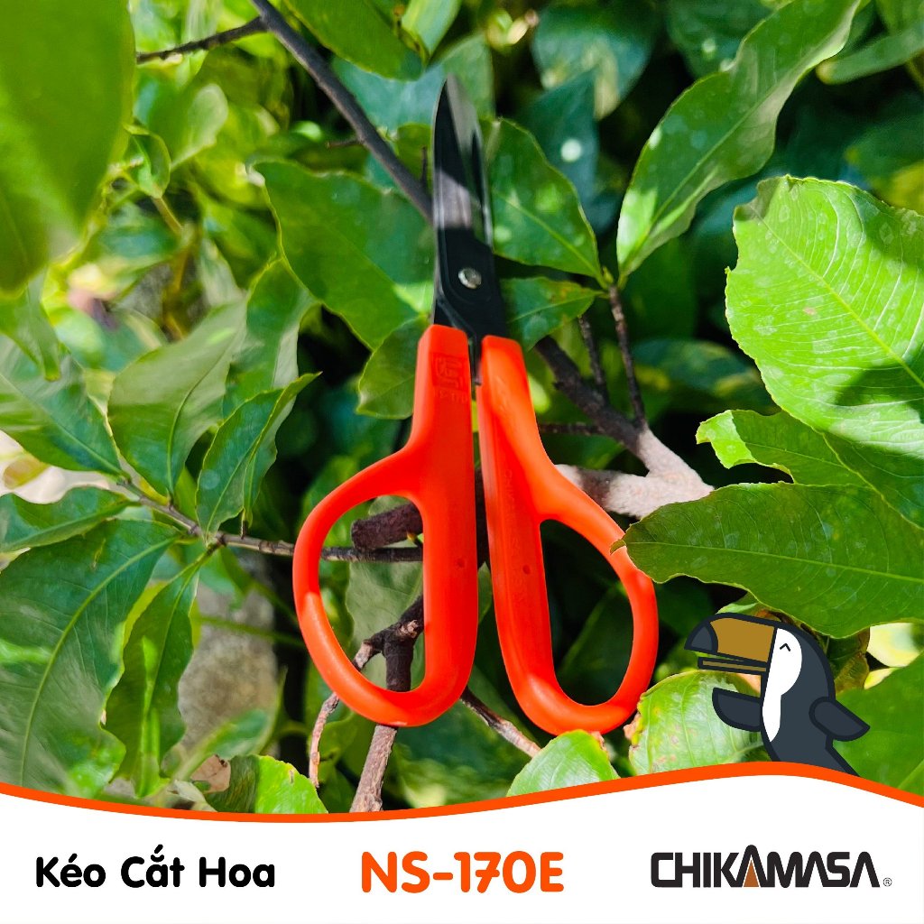 Kéo cắt hoa Nhật Bản Chikamasa NS-170E