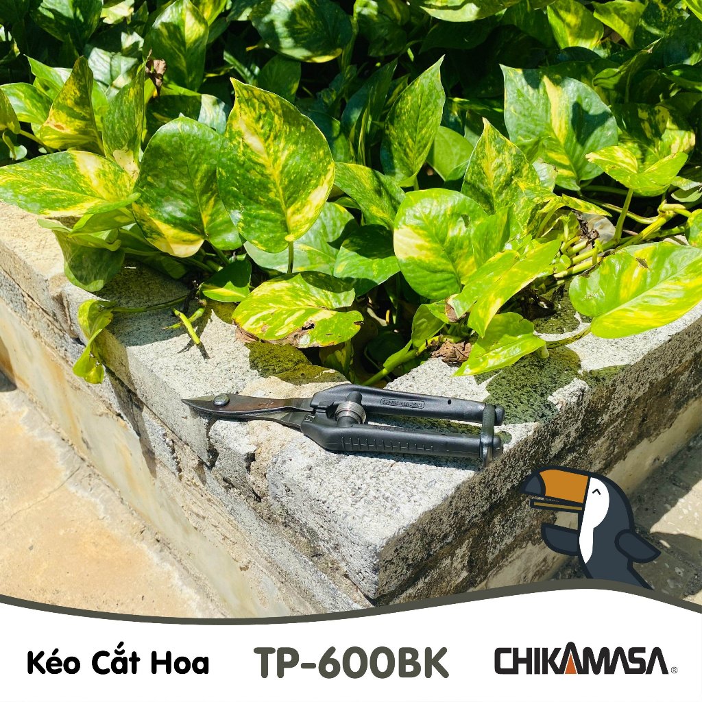 Kéo cắt kẽm nhung Nhật Bản Chikamasa TP-600 (Hồng) / TP-600BK (Đen)