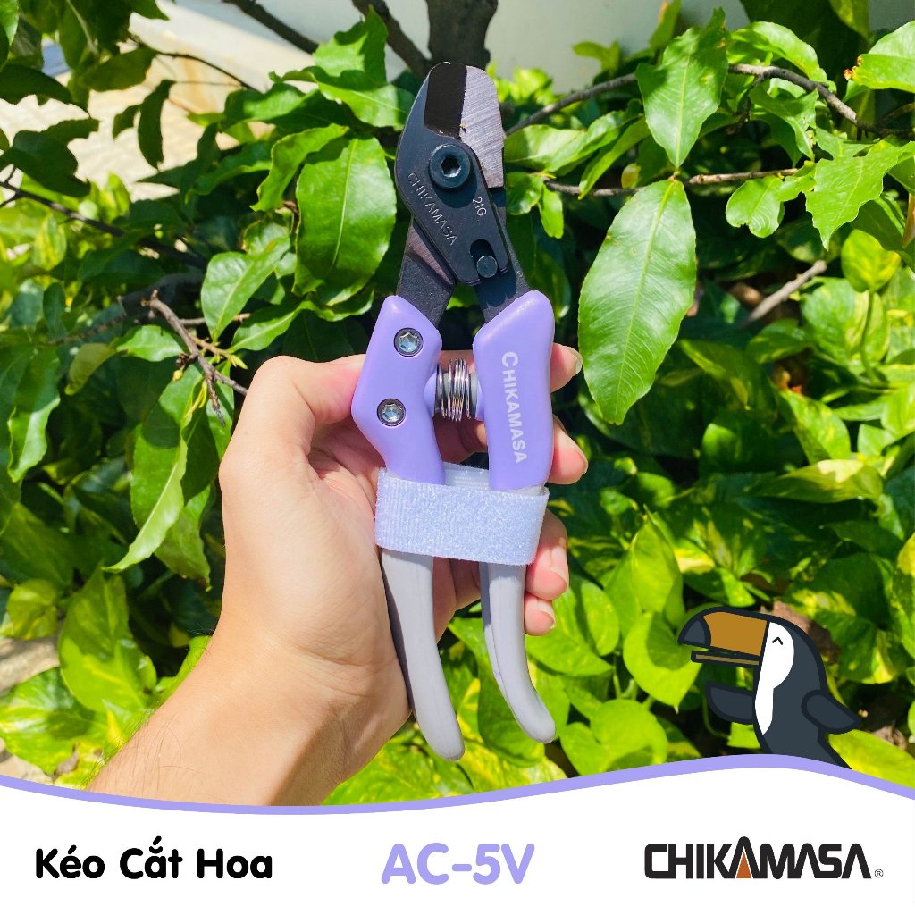 Kéo cắt hoa giả Nhật Bản Chikamasa AC-5V